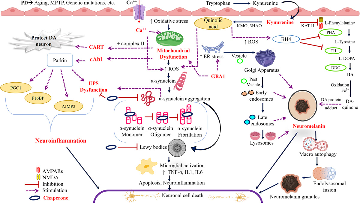 Unlocking Parkinson's Disease