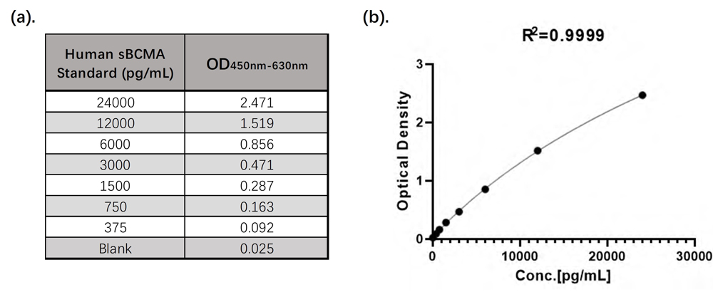 Soluble B-cell maturation antigen (sBCMA)