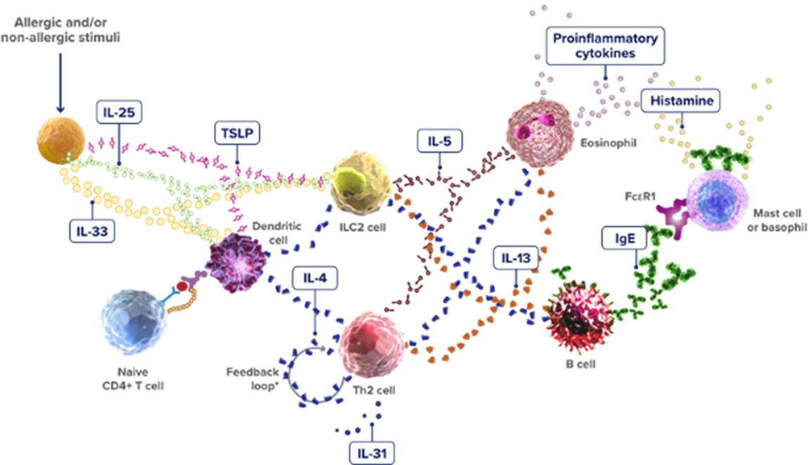 Evaluating Therapeutic Efficacy in Autoimmune Disease Biologic Development
