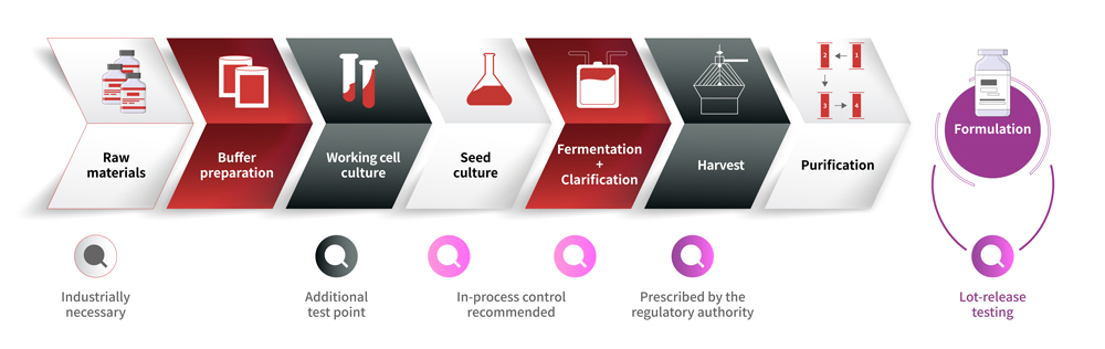 Mycoplasma Detection