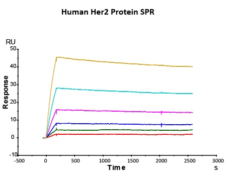 Biosimilar-fig2.jpg
