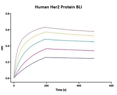 Biosimilar-fig3.jpg