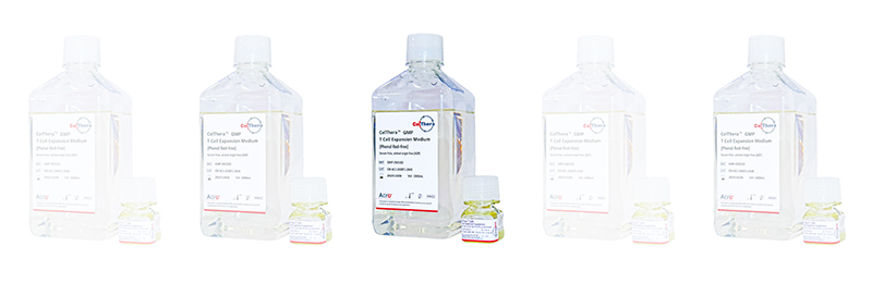 T Cell Manufacturing