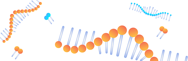 mRNA Quality Control