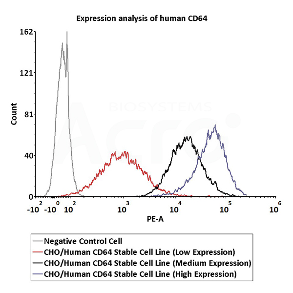 Receptor Assay