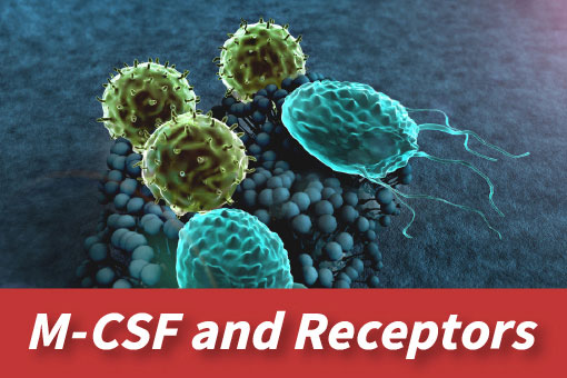Different Types of CSF Targets