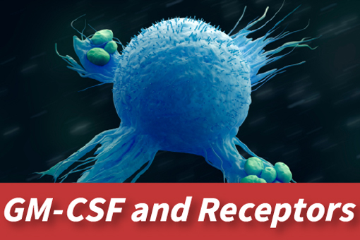 Different Types of CSF Targets