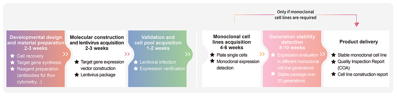 Overexpression Cell Line Customization Service