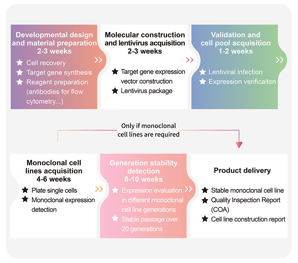 Overexpression Cell Line Customization Service