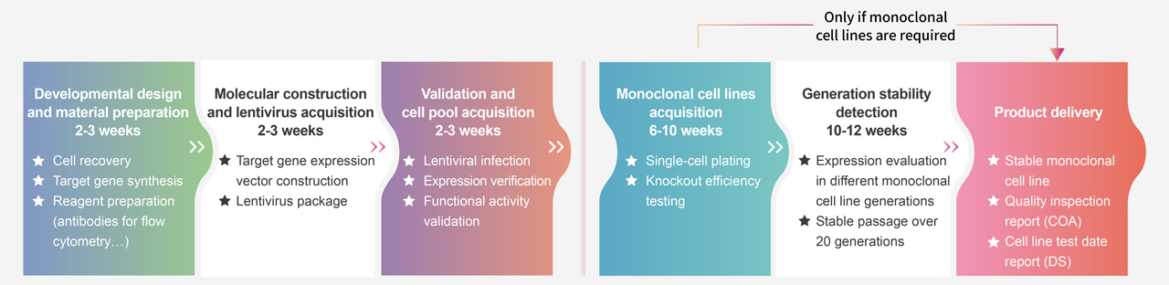 Reporter Cell Line Customization Service