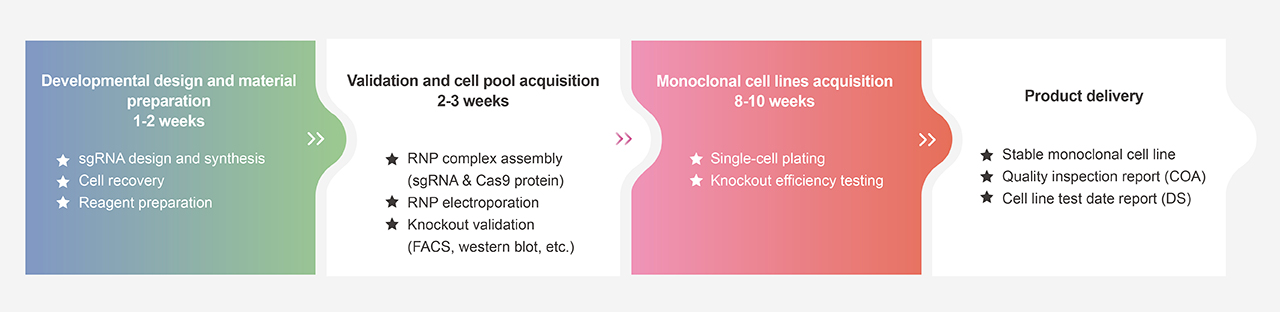 Gene Knockoout Cell Line Customization Service