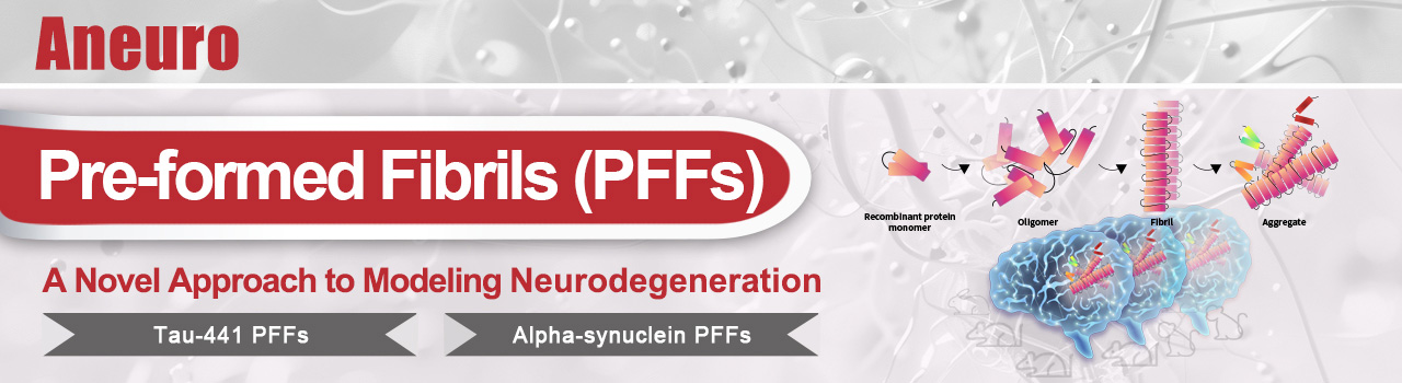 PFFs, A Novel Approach to Modeling Neurodegeneration