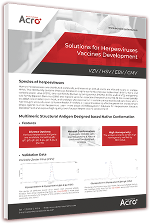 Solutions for Herpesviruses Vaccines Development