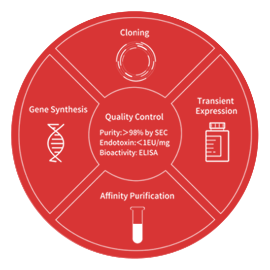 Mature protein expression technology platforms