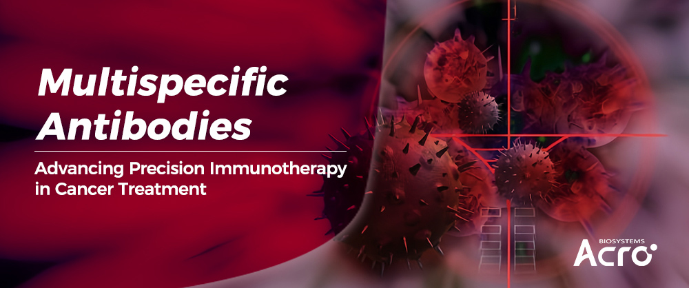 Multispecific Antibodies: Advancing Precision Immunotherapy in Cancer Treatment