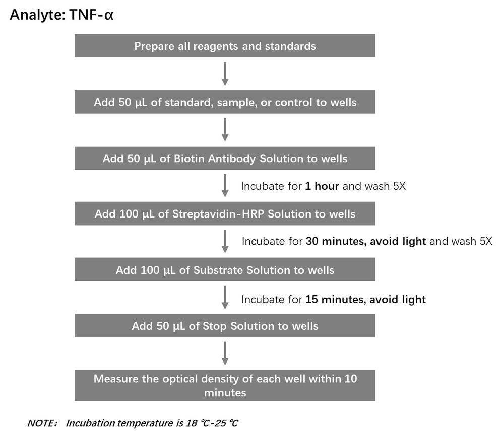  TNF-alpha Workflow