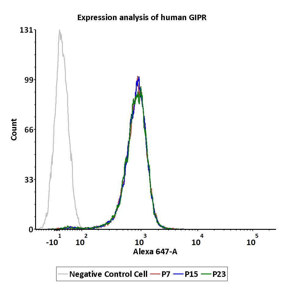  GIPR PASSAGE