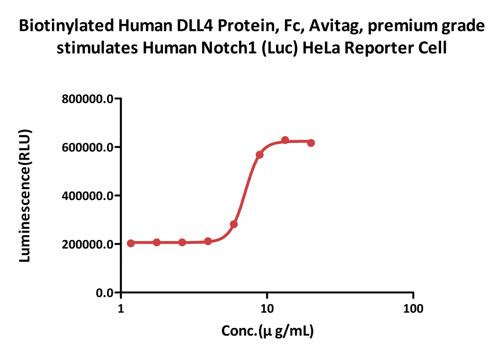  DLL4 CELL