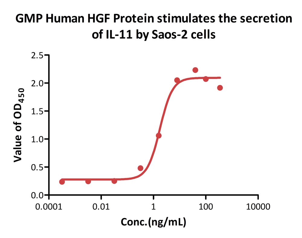  HGF CELL