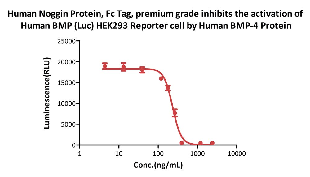  Noggin CELL