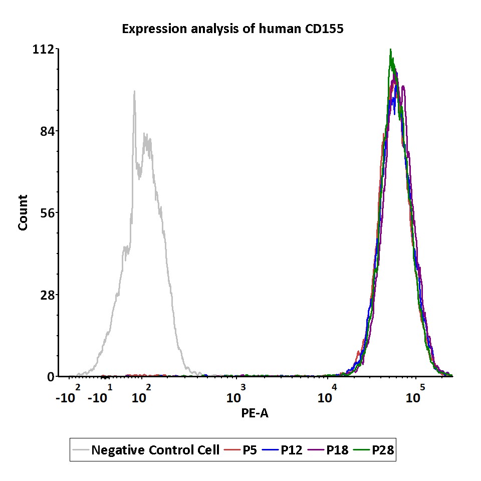  CD155 PASSAGE