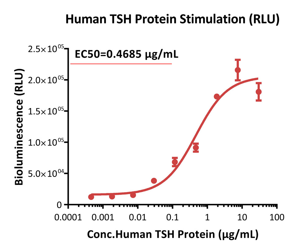  TSH alpha/beta Heterodimer CELL