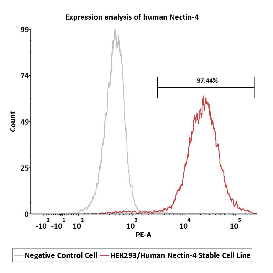  Nectin-4 FACS