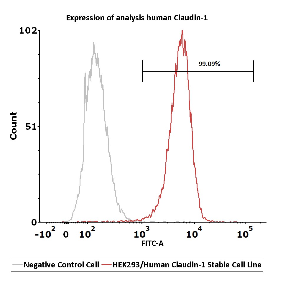  Claudin-1 FACS