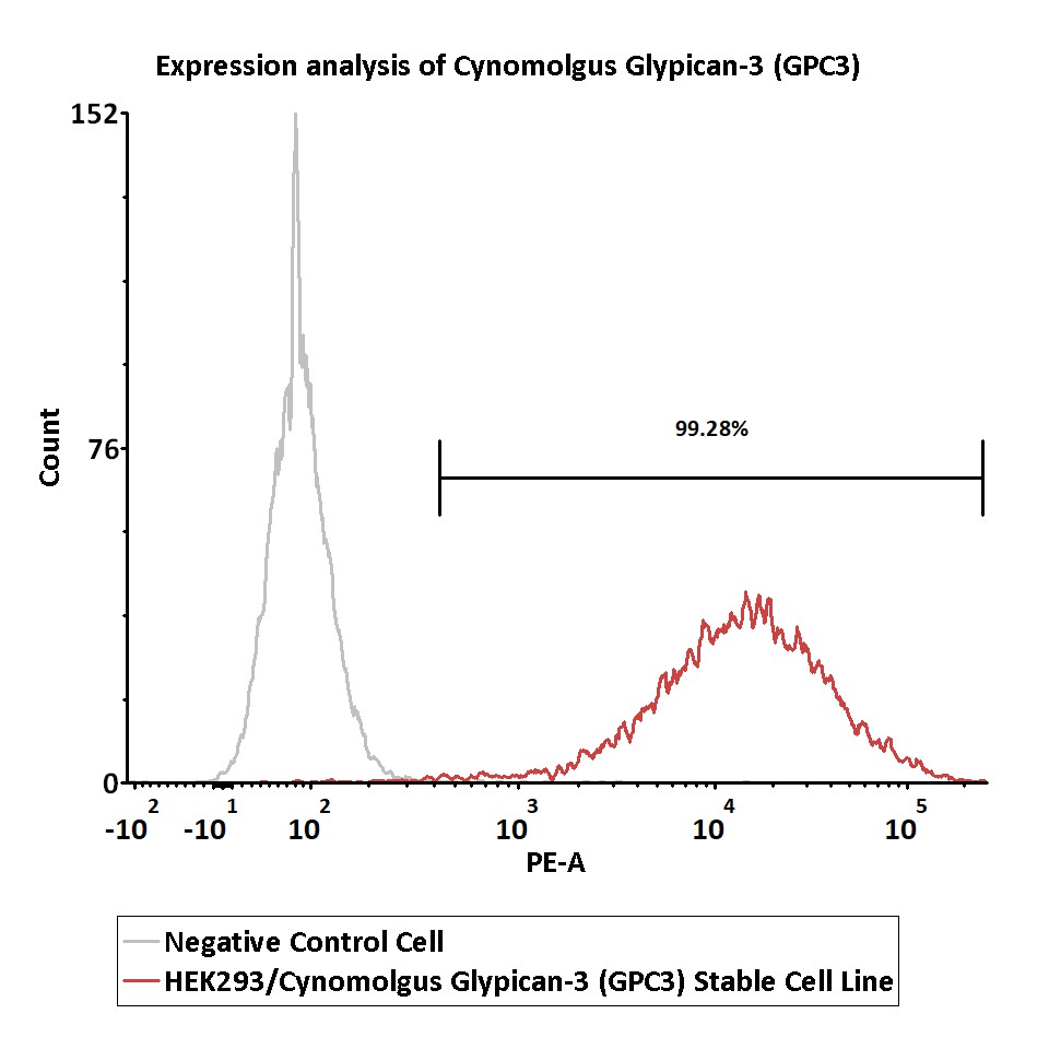  Glypican 3 FACS