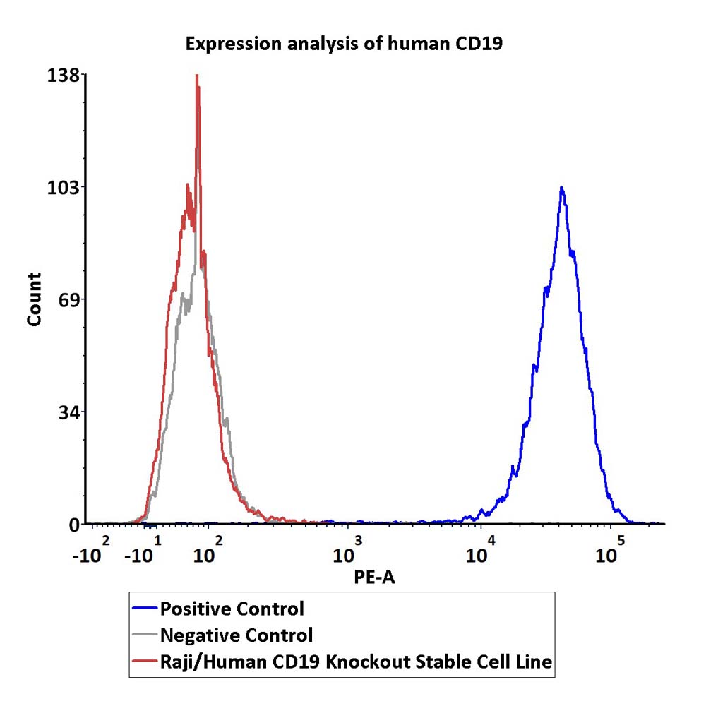  CD19 FACS