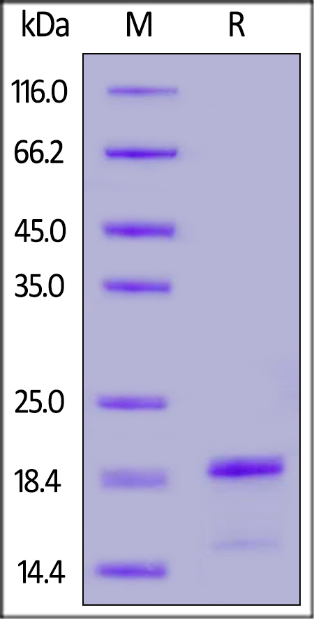 ALN-H51H4-sds