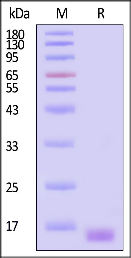 ALN-HA113-sds