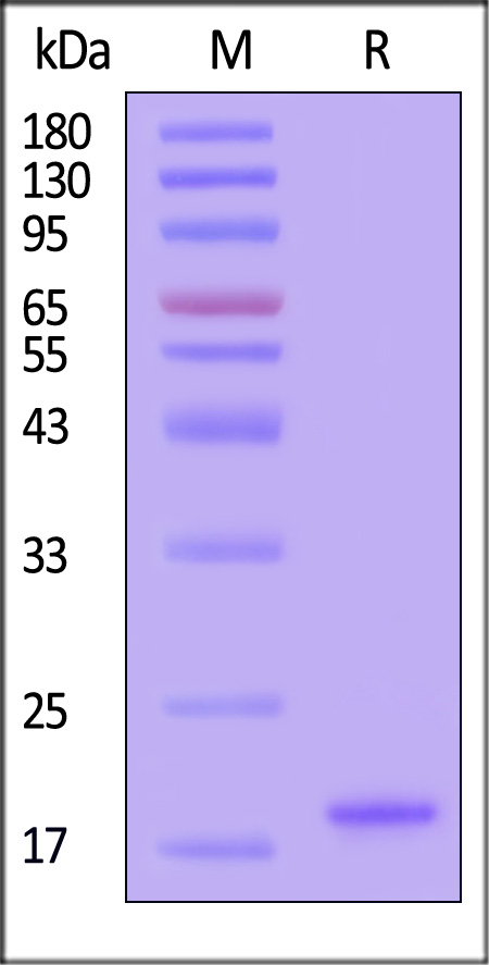 ALN-M52H6-sds