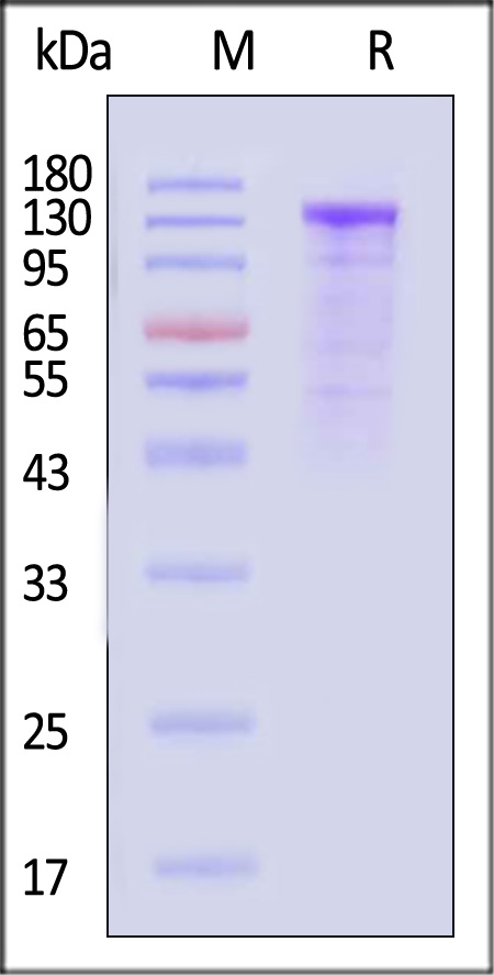 CA7-H82F9-sds