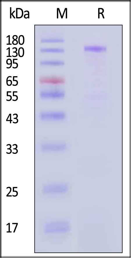 CA7-M82F3-sds