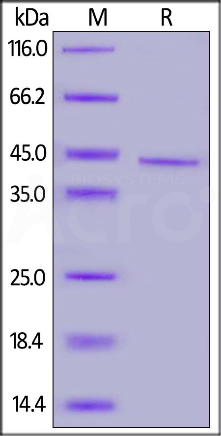 CD0-H82E5-sds