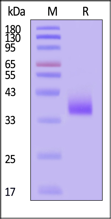 CD2-H82E3-sds