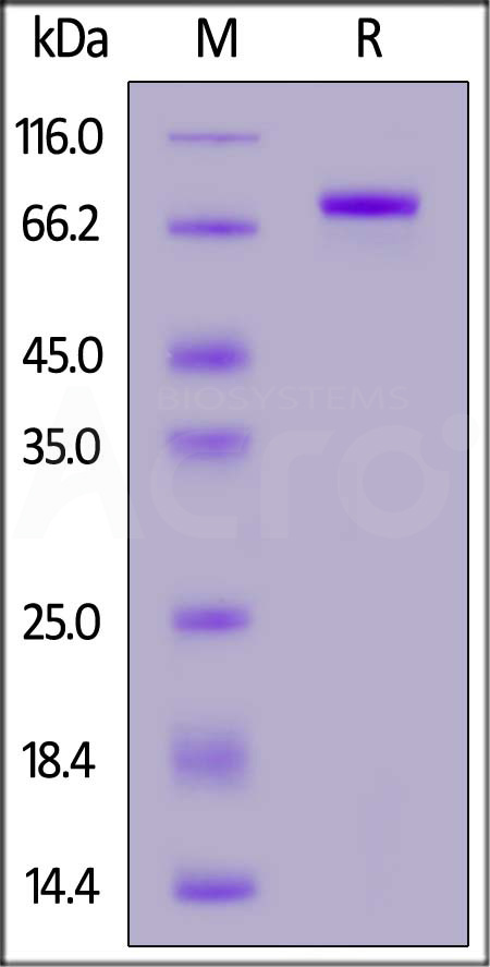CD3-H82F3-sds