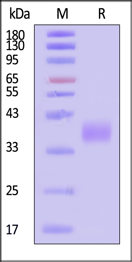 CD7-H522a-sds