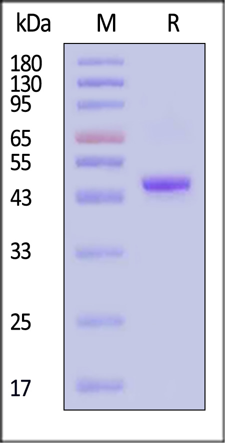 CD9-H82Q3-sds