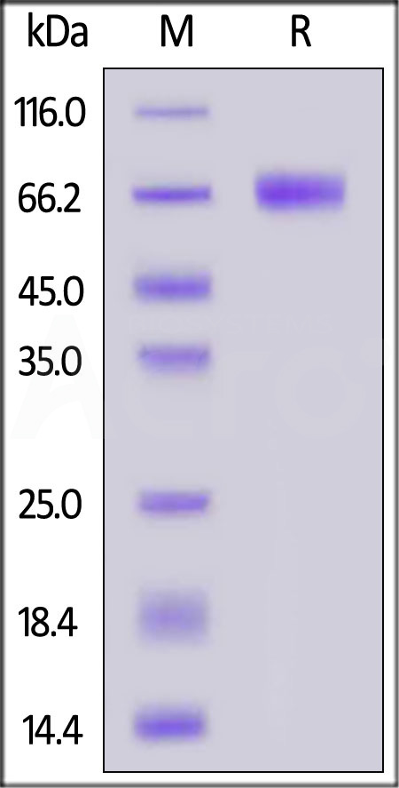 CLA-H82F7-sds