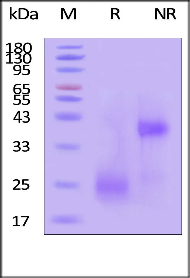 CT4-H82E3-sds
