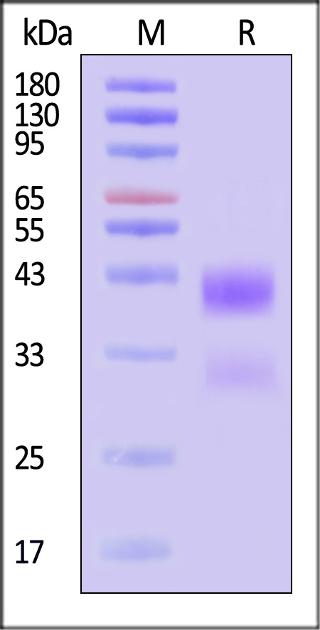CTB-H5222-sds