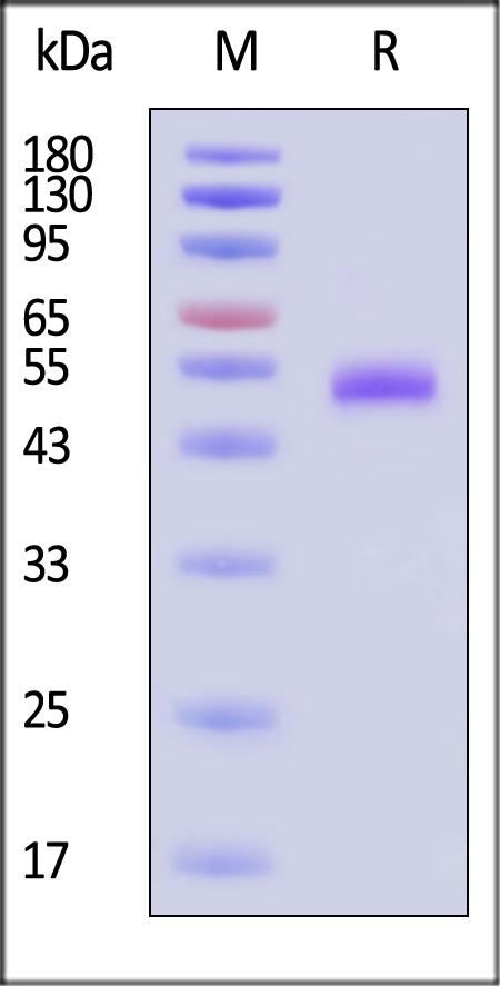 DL3-HF2H4-sds
