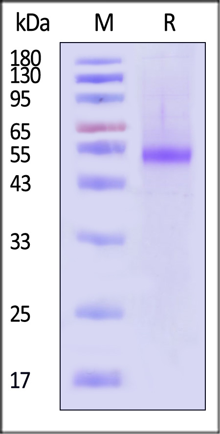 DL3-R52H4-sds