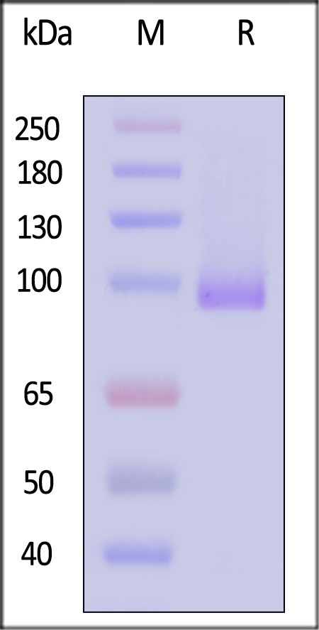 DL4-H82F7-sds