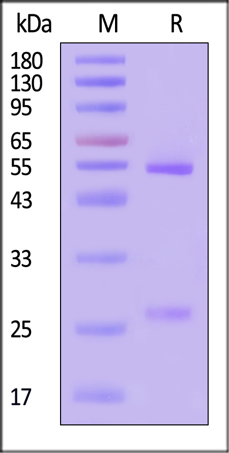 DNP-M880-sds