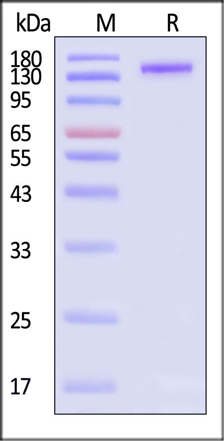 EN3-H83F3-sds