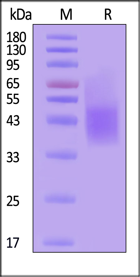 FCR-H82E3-sds