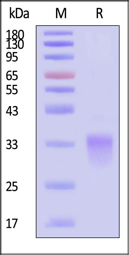 GLR-H82E3-sds